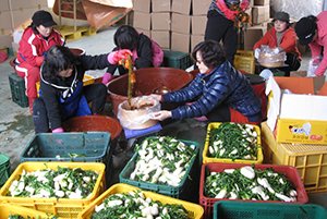 Gimpo (Gyeonggi-do) Municipal Chapter supplies kimchi to North Korean refugees